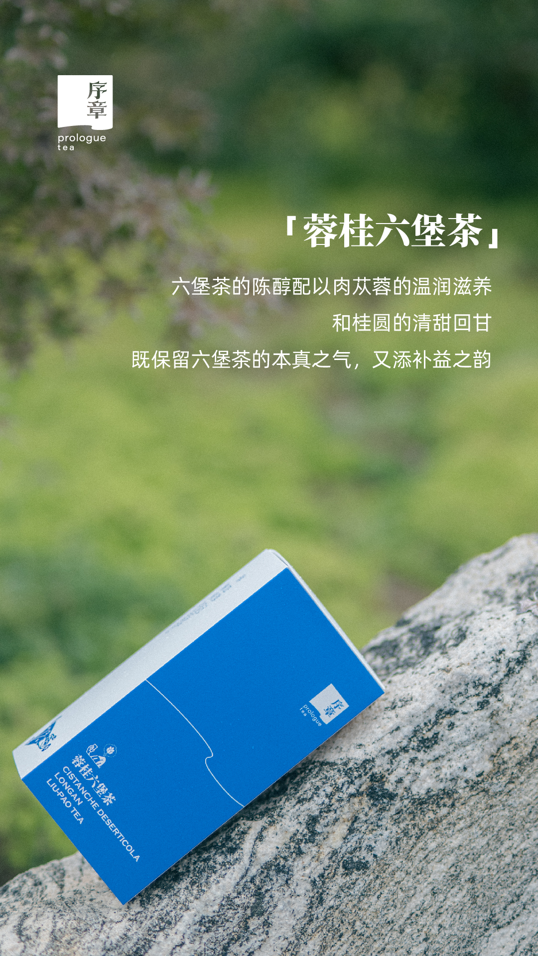 蓉桂六堡推拉盒_画板 1.jpg