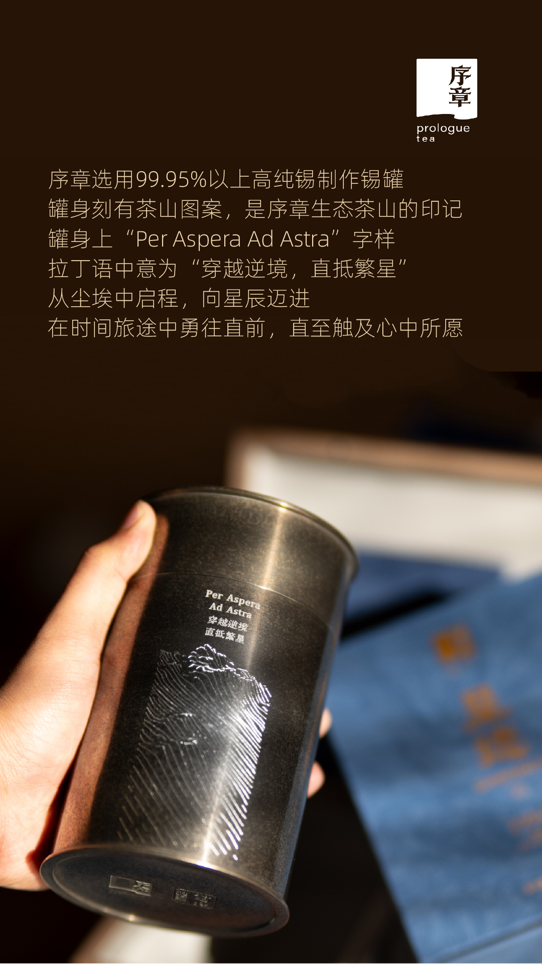 呈迹六堡茶_画板 1 副本 2.jpg